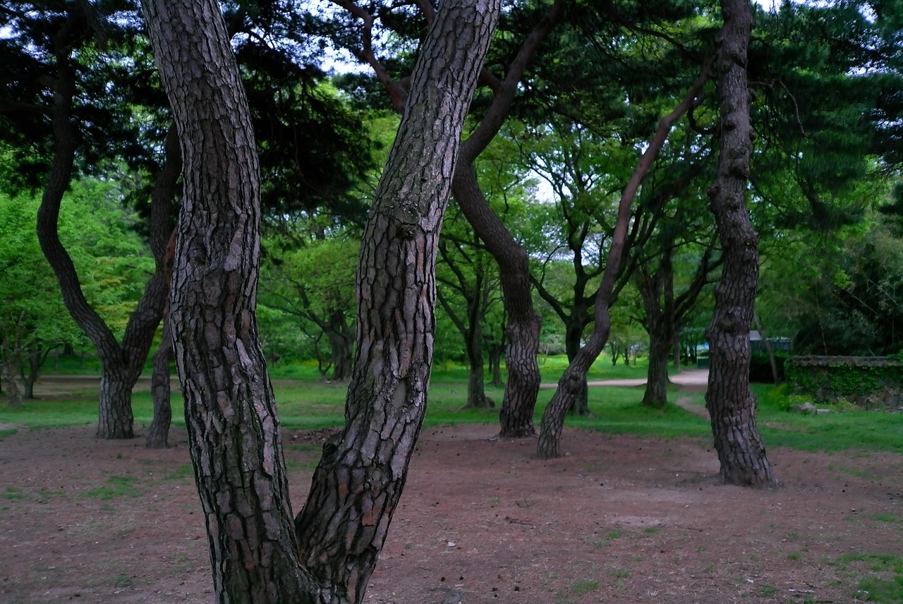 섹션 3 이미지