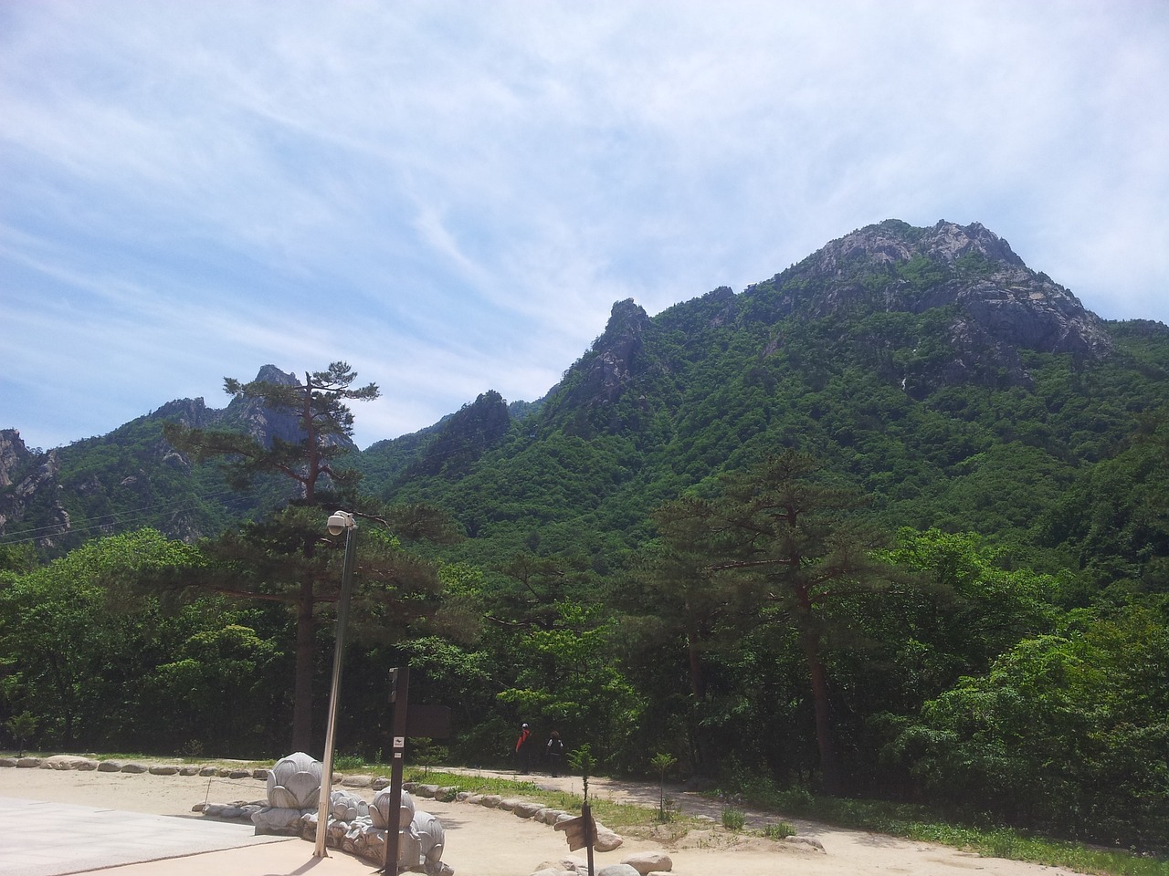 섹션 1 이미지