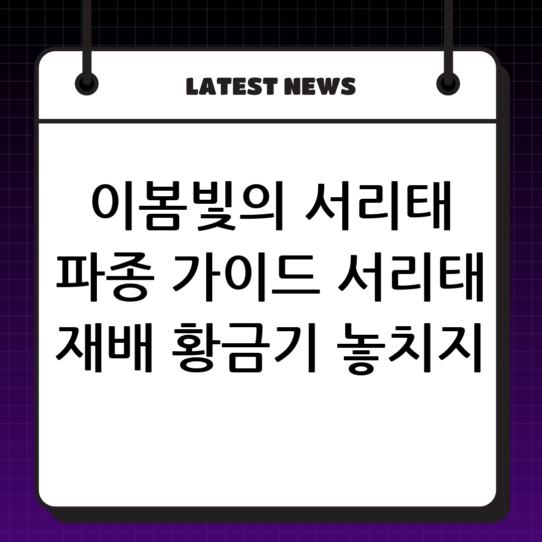 서리태 파종 시기 및 재배 완벽 가이드