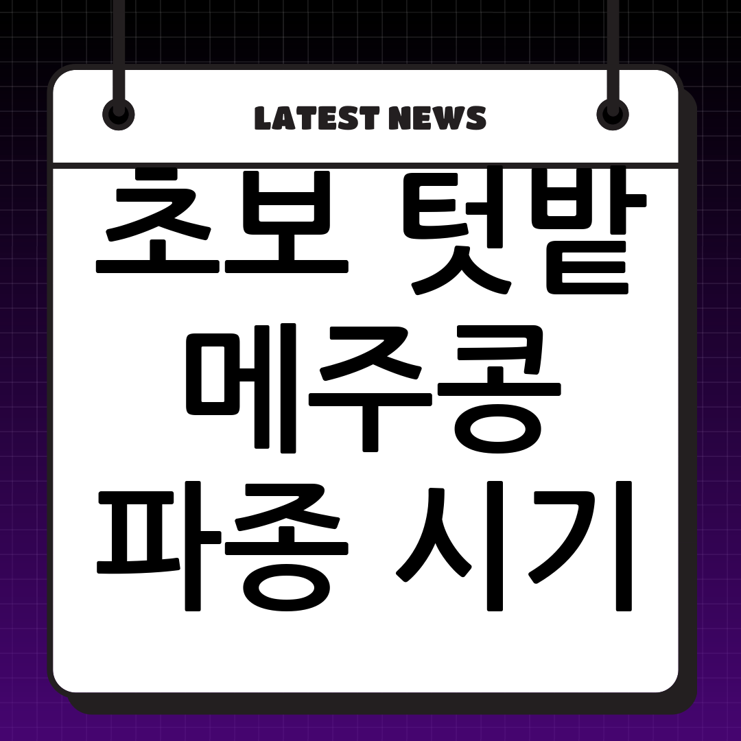초보 텃밭 가이드: 메주콩 파종 시기 및 재배 방법 완벽 마스터