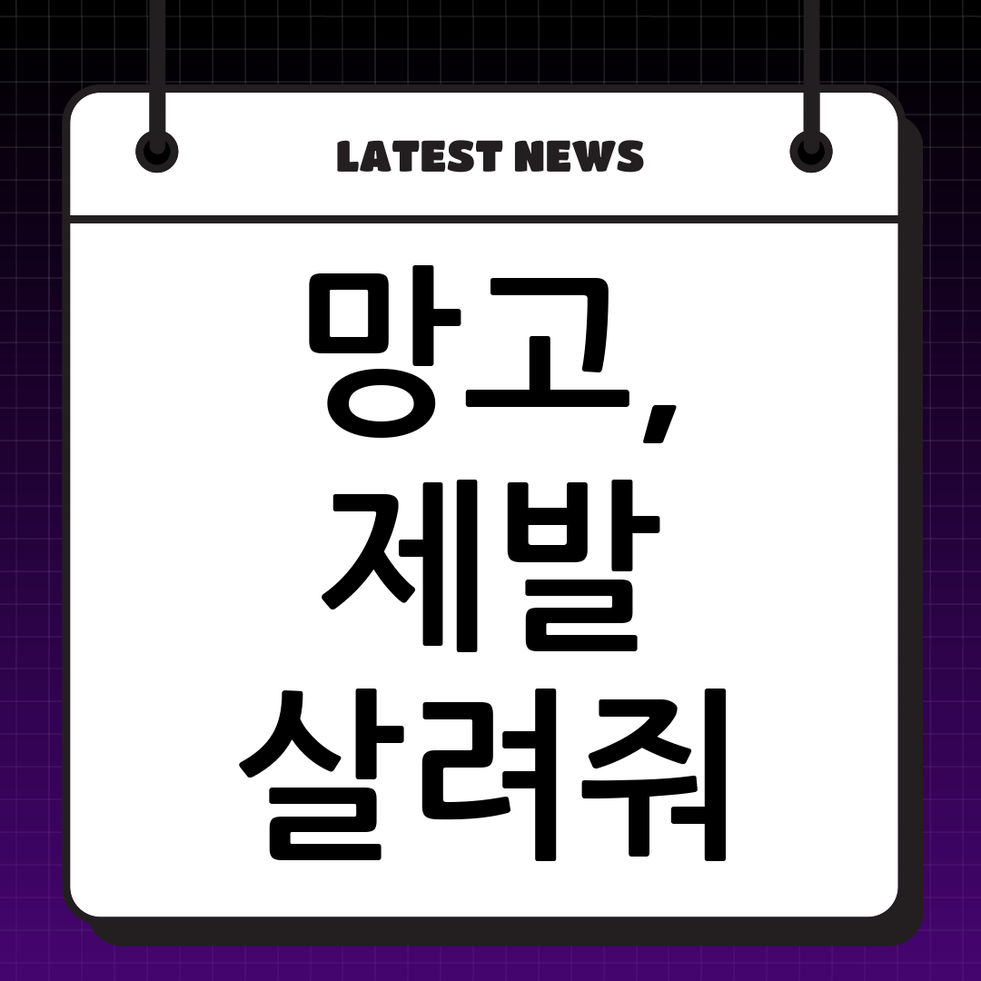 물러버린 망고, 이제 그만! 20대가 알아야 할 완벽 망고 보관법