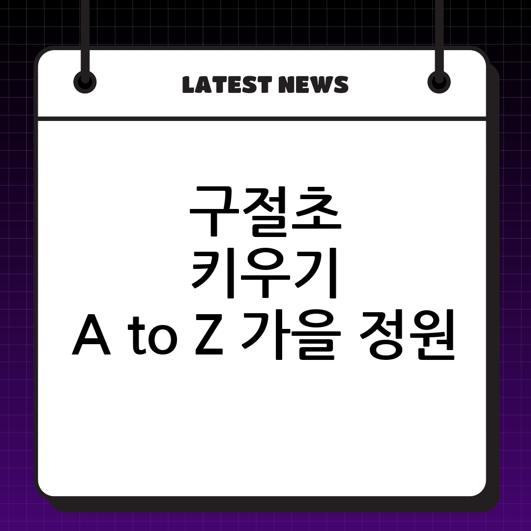 가을 정원 완성! 구절초 키우기: 파종 시기, 효능, 쑥부쟁이 구별법 완벽 정리